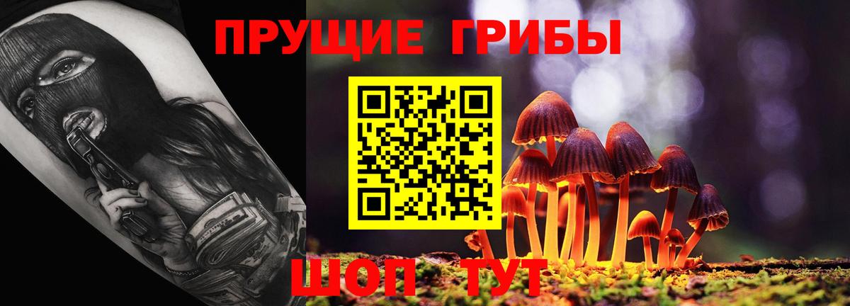 купить   Псилоцибиновые грибы Magic Shrooms  Вход с VPN  Псилоцибиновые грибы Psilocybe  Нижний Новгород 